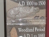 Detail of Native Tribes case
