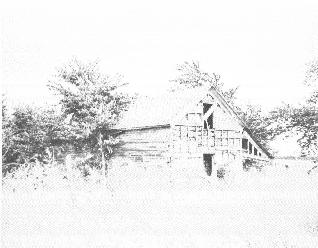 After the cabin was abandoned by the family, it was repurposed as a hay barn. This is how the cabin appeared before it was moved to City Park and restored.