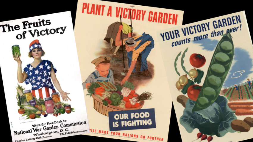 WWI and WWI posters promoting Victory Gardens