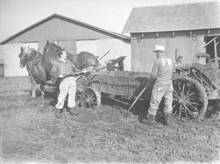 Two men doing farm work. One man has "PW" on the back of his shirt. There is a wagon with livestock and farm buildings in the background. Photo by J.B. Muecke.